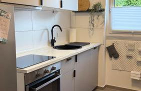 Komfort-Apartment für Geschäfts- & Städtereisen - Foto 4