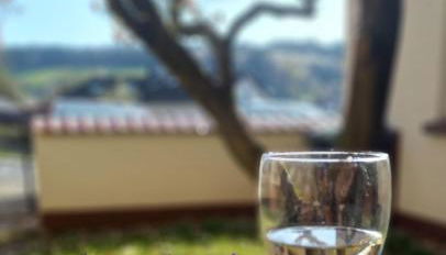 Odenwald Heaven - Foto 4, Garden