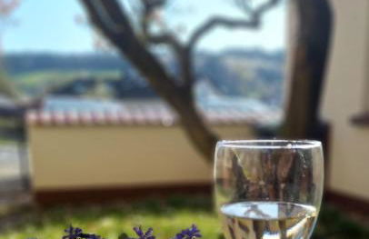 Odenwald Heaven - Foto 4