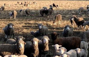 Lodge en Provence - Foto 28