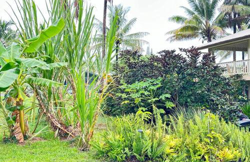 House of Aloha - Foto 12