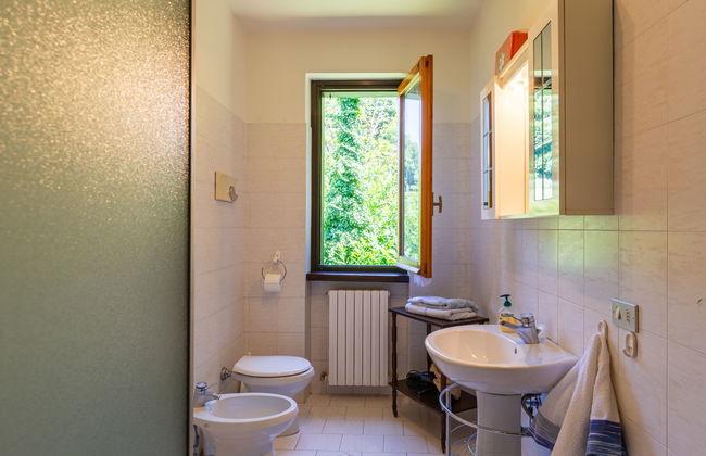 Nel Castagneto - Foto 22