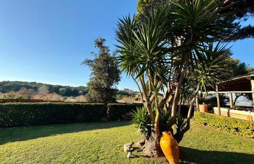 Tenuta Clementino - Foto 68