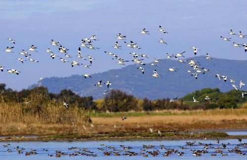 Apartment Anwesen mit Schwimmbad by Interhome - Foto 32