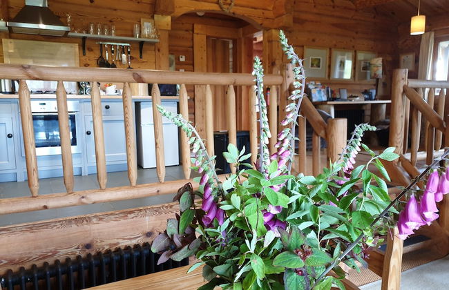 Newland Valley Log Cabins - Foto 66