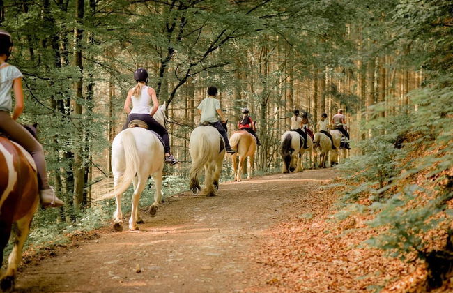 Nengshof - Haus Königskerze - Photo 25