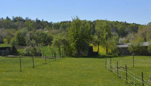 Ferienwohnung Elisabeth - Foto 3