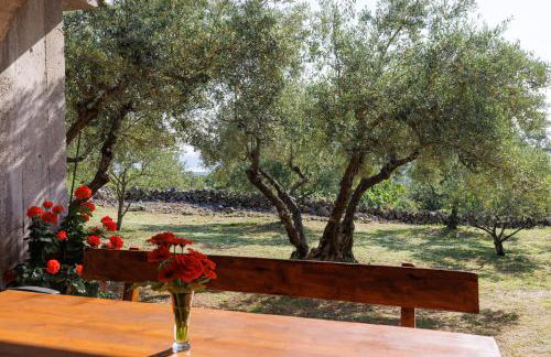 Apartment Depikolo *countryside holiday - Photo 4