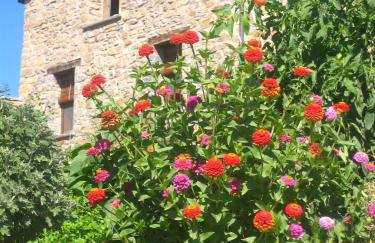 Casa L'Apargatero - Foto 15