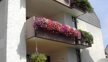 WohnZeit Stuttgart - Foto 2