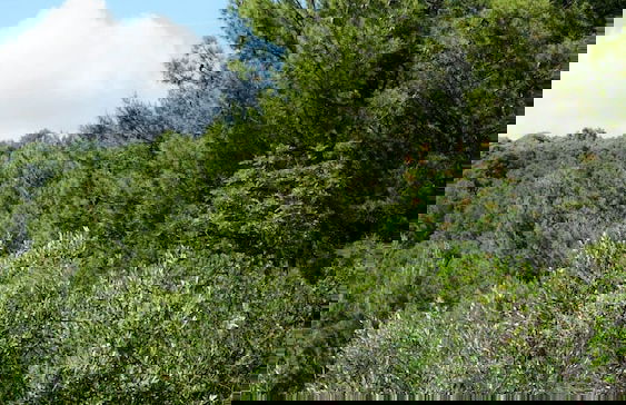 Tennis court and outdoor pool villa - Foto 43