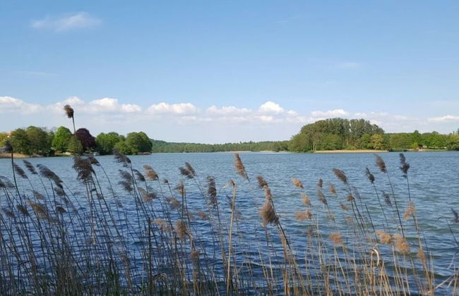 Wide Luzin Modern Retreat - Foto 16