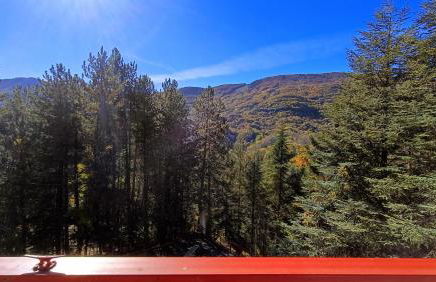 Abetina Apartment - Piccola Svizzera - Foto 28