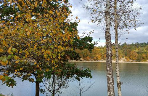 Brama Sanu - z prywatną linią brzegową Jeziora Solińskiego - pomosty - pontony - basen sezonowy - Foto 14