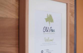 Old Pear Apartment - Photo 34