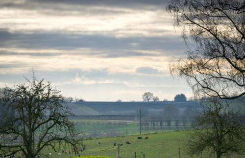 Tiny House im Schwarzwald-Natur, Ruhe & Erholung - Foto 33