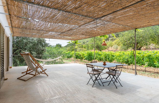 Agroturismo Filicumis - Foto 78