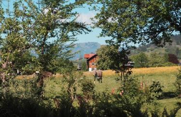 NaturNest Durchatmen - Skipass im Winter und Bergbahnen im Sommer inklusive - Foto 42