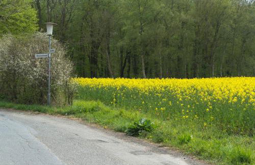 Ferienhaus Schleiharmonie - Foto 39