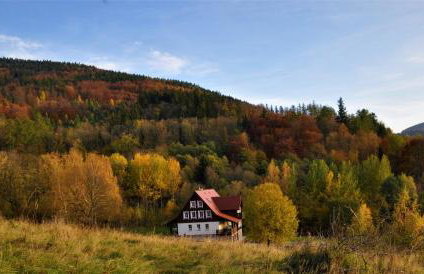 Dom Jesionów - Foto 57