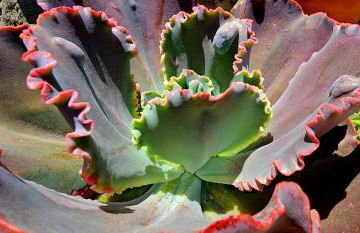 Casa Rural Eneida - Foto 11