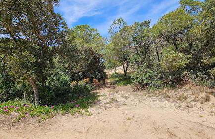 Acquamarina House by the sea - Foto 9