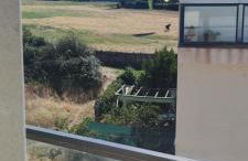 El Mirador De La Sierra - Photo 36