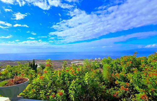 3 Avitaciones - Foto 79