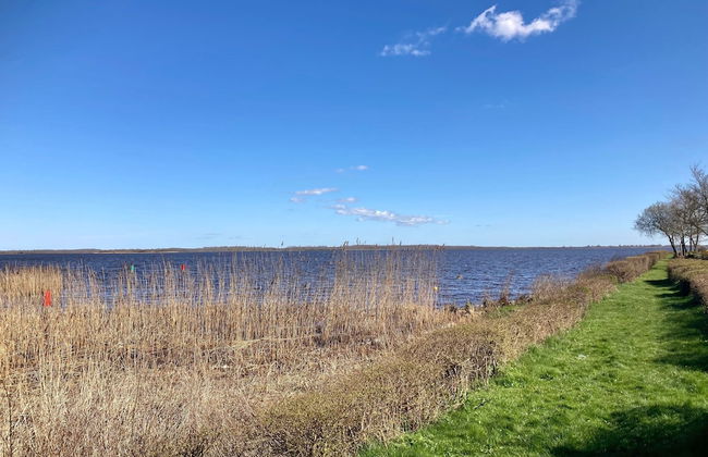 6 Pers House Marijke With Winter Garden and Direct Access to the Lauwersmeer - Foto 49