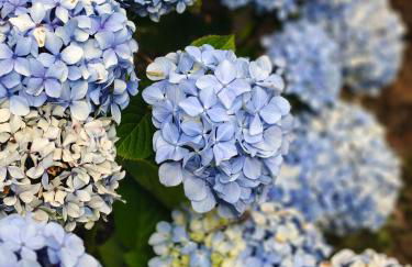 La casa de atrás - Foto 30