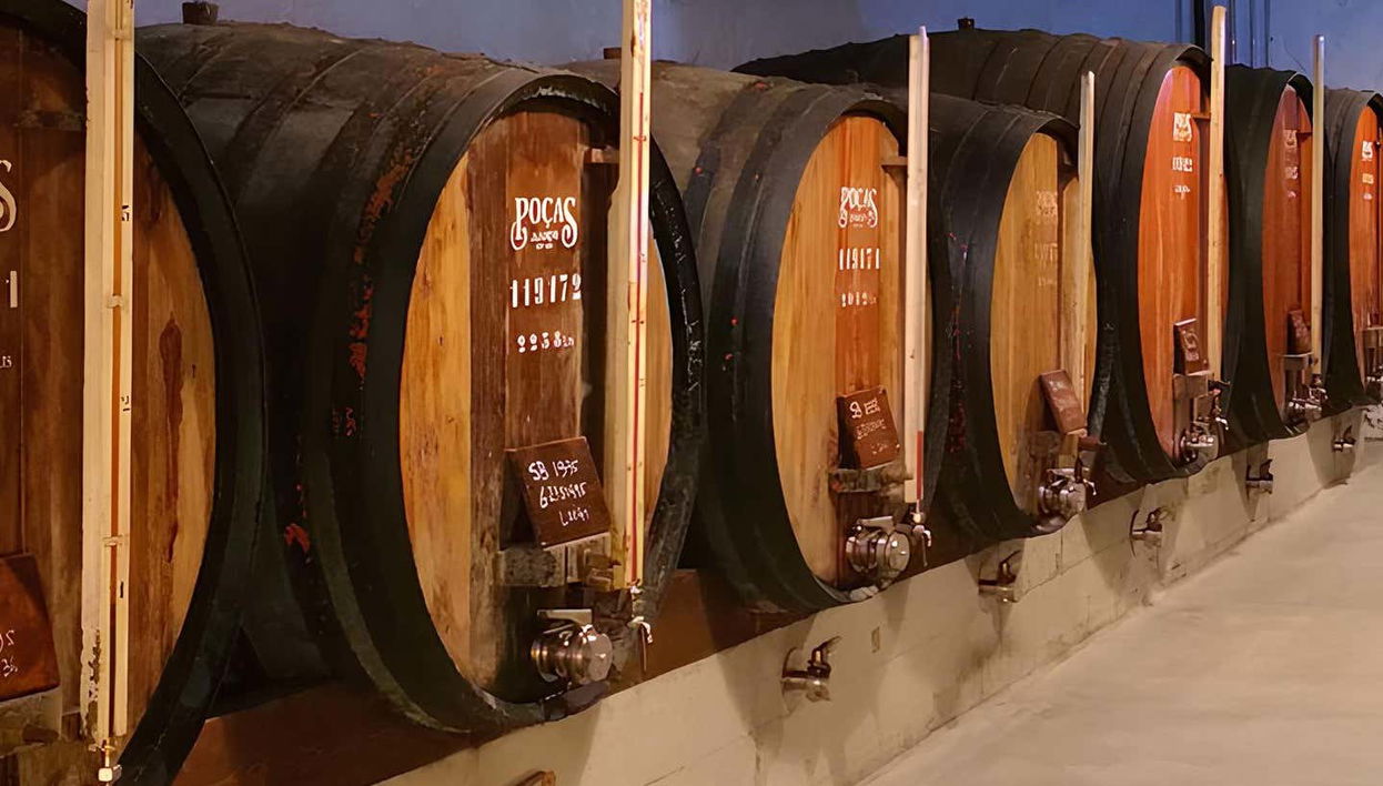 Visita a la bodega Poças
