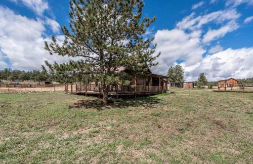 New! Historic Chalet in Colorado National Forest - Foto 17