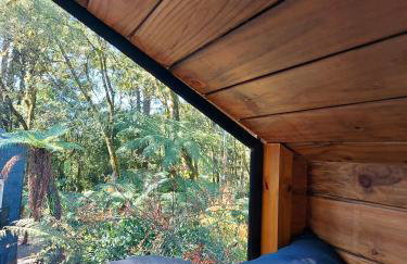 Pousada Alpes da Araucárias - Foto 21