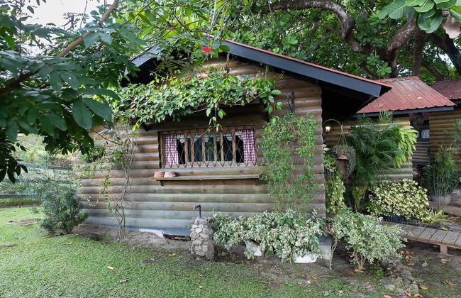 Quinta Pavo Real Complex by Acomodo - Foto 41