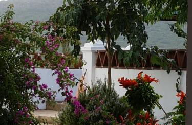 Finca La Rinconada - Foto 9