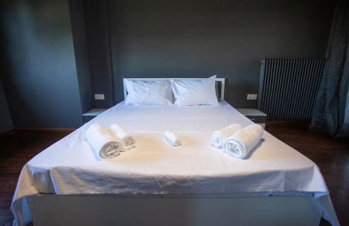 Τraditional fully detached villa on a luxurious hillock of Thessaloniki with its own garden also for family & wedding gatherings for 10 to 25 people only 15 minutes from airport - Foto 64