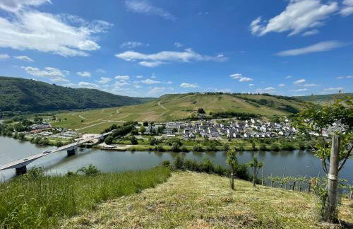 FeWo Kaamter F erkelsmarkt - Foto 41