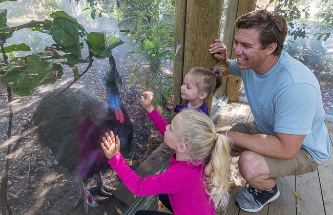 Billet pour le San Diego Zoo Safari Park - Photo 9