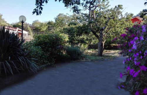 La terra dei ciliegi tra l'Etna e il mare di Taormina - Foto 20