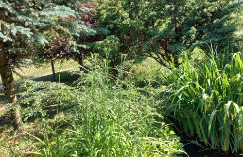 Jeziorskie Zacisze & balia - Foto 19