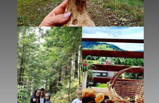 Gorczańska Chata z tarasem widokowym - Foto 28