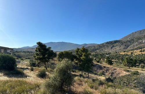 Elenas House - Foto 17