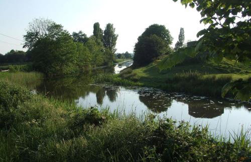Cottage in Brookland Near Romney Marsh - Photo 39