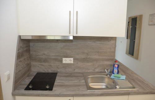 Spreewaldpension Hahn - Foto 30