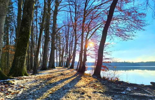 Tiny House 1 im schönen Allgäu mit großem Garten, Naturnah - Foto 24