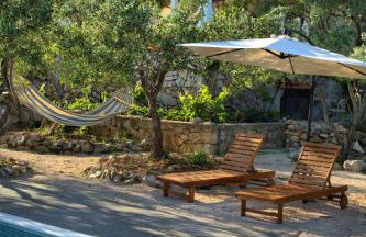 Tvrdic Honey - Photo 43