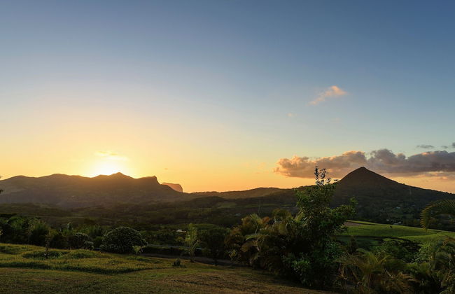 La Vieille Cheminee - Photo 58