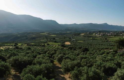 Myron Olive Villa Retreat - Foto 43