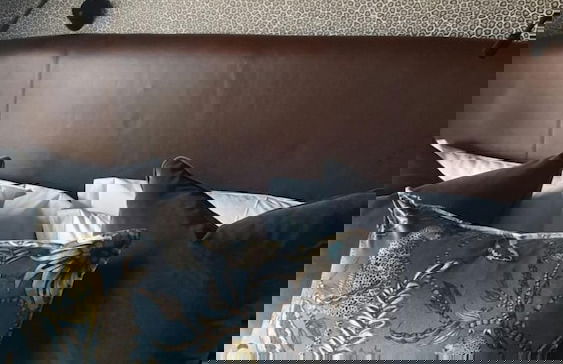 Kruger National Elephant Point Lodge - Foto 5