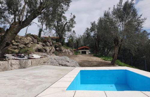 Cantinho da Pereira - Foto 14